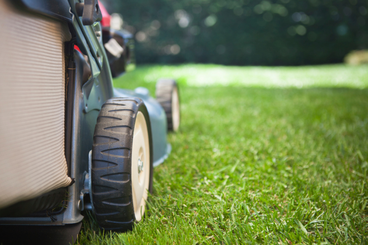 Mowing the grass